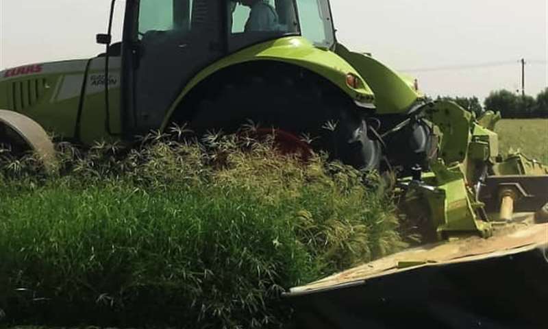 Agricultural Supplies_4-min.jpg