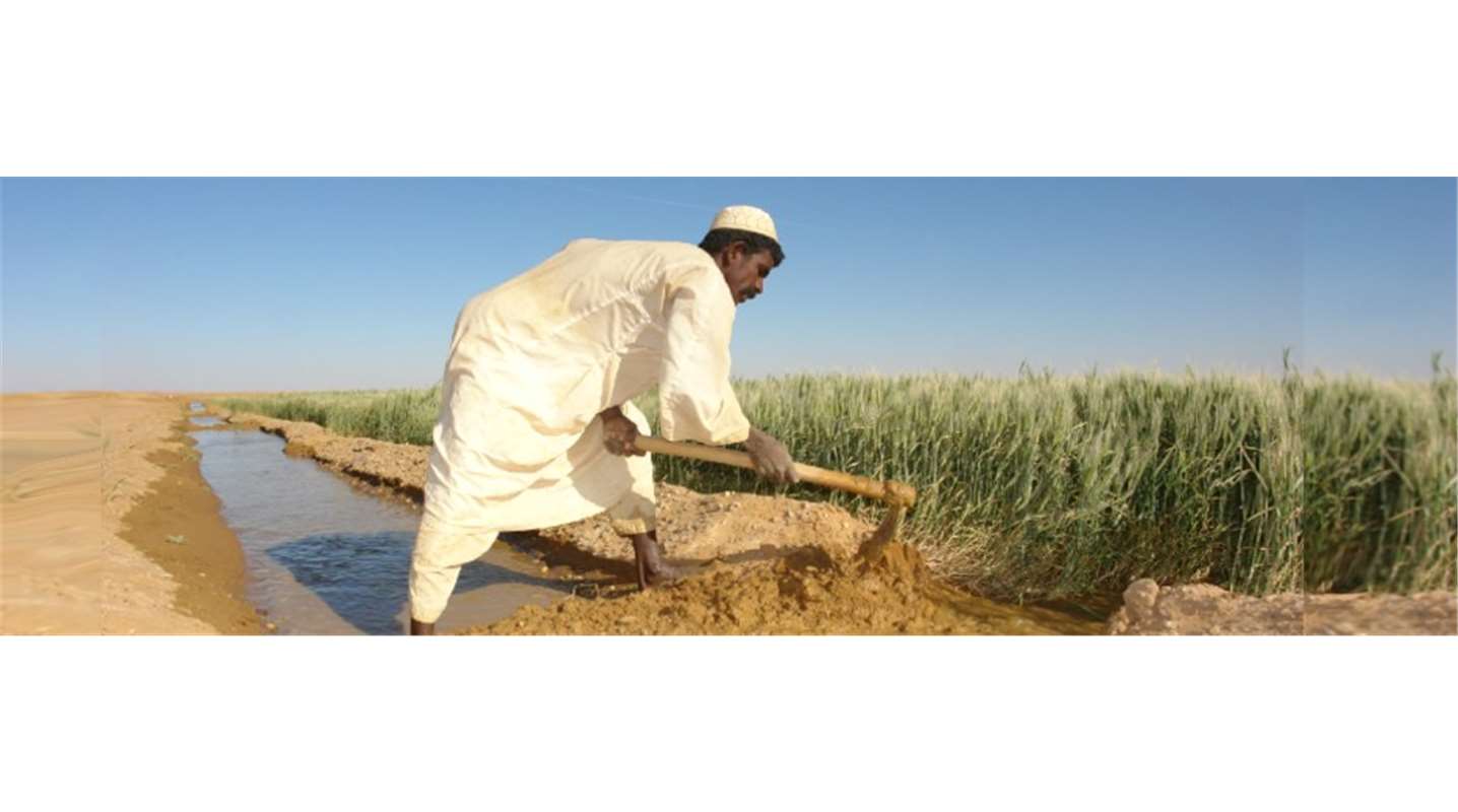 ADFD Provides Sudan with Agricultural Supplies Worth AED40 Million