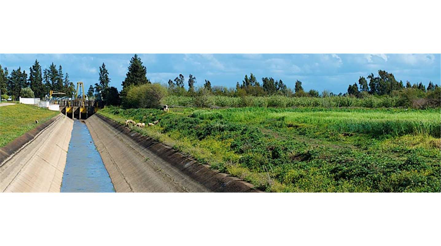 8.6 مليار درهم تمويلات صندوق أبوظبي للتنمية