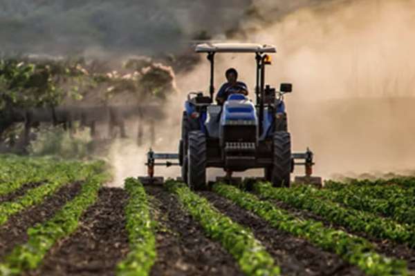Agricultural Supplies_4-min.jpg